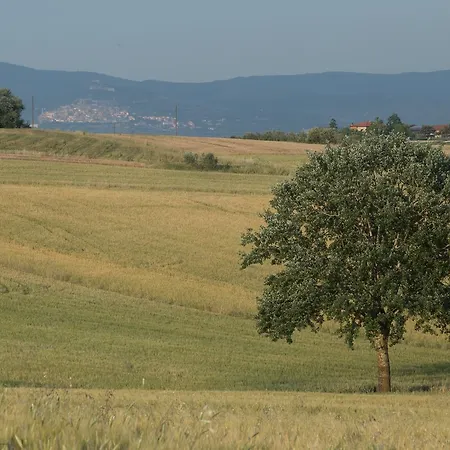 Casa Bellavista Oda ve Kahvaltı