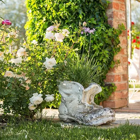 Casa Bellavista Bed & Breakfast Cortona